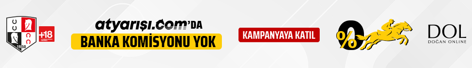 At Yar B lteni Yenibeygir