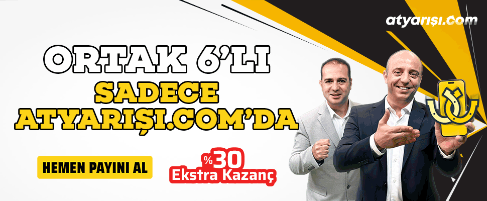 At Yar B lteni Yenibeygir